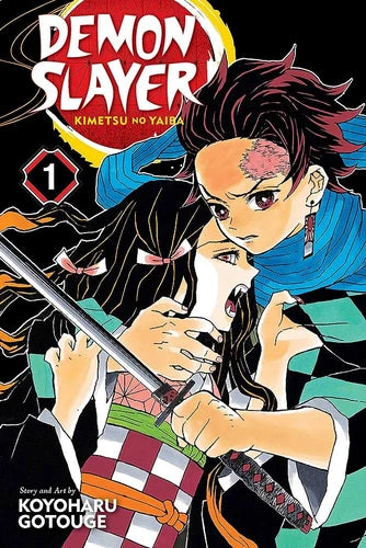 DEMON SLAYER VOL 01 NEW