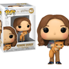 Funko Pop! HARRY POTTER 3 - POP & Buddy N° 167 - Hermione with Crookshanks