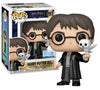 Funko Pop! HARRY POTTER - POP Movies N° 197 - Harry with Hedwig